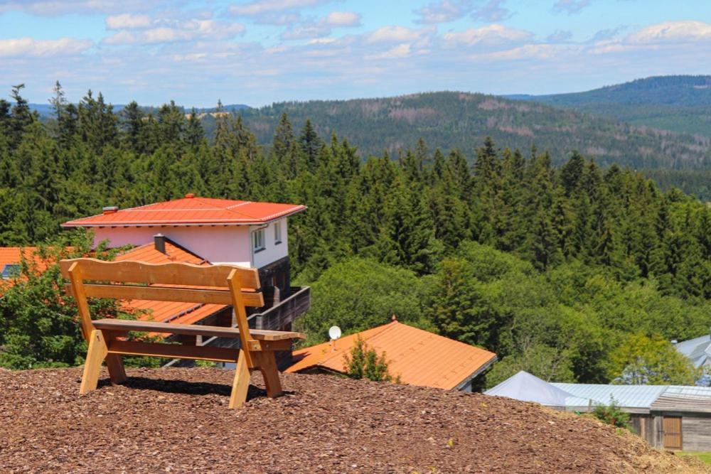Fitapartman Mitterfirmiansreut Exterior foto